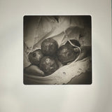 Pomegranates - photogravure print - The Weekly Edition