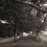 Path - Scotland