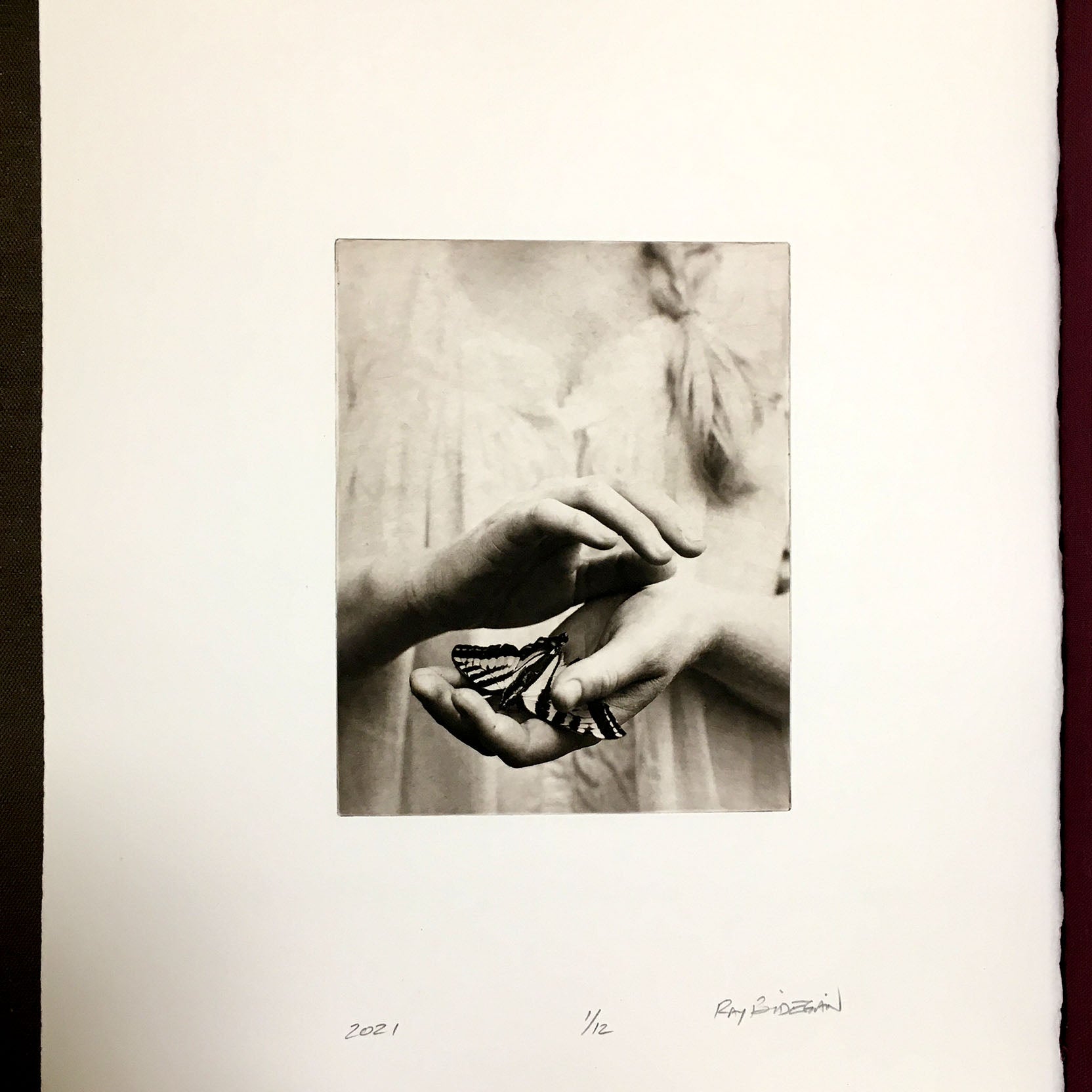 Covet   - Polymer photogravure print - Edition 2021