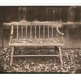 Fall Leaves - Oregon - photogravure print - The Weekly Edition