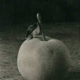Pear 2013