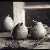 Pears with leaves