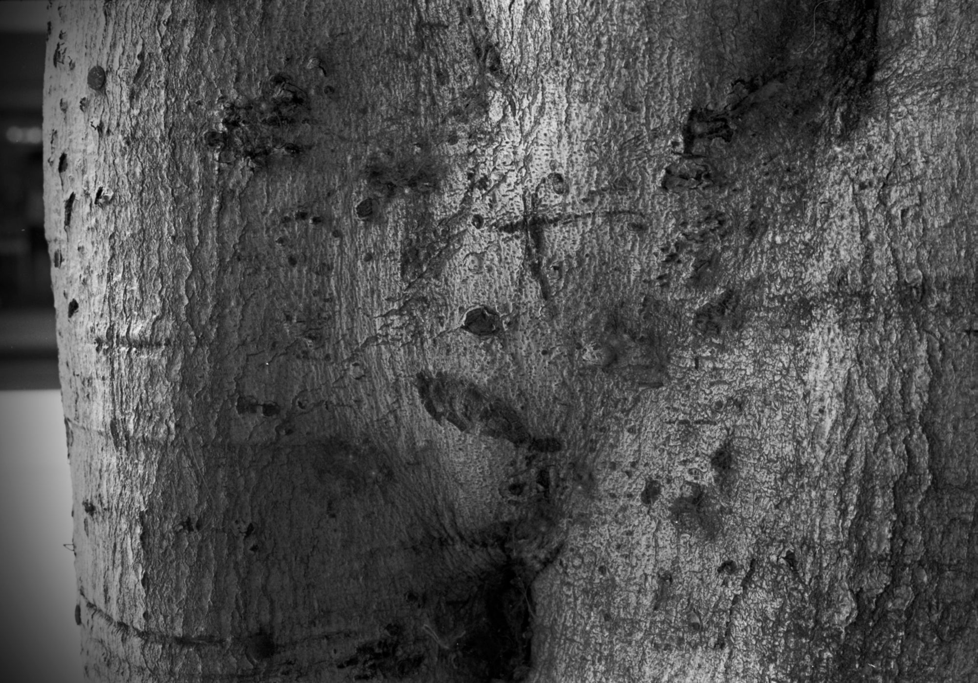 Making Marks