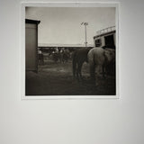 At the Rodeo  - photogravure print - The Weekly Edition
