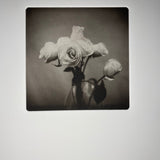 White Roses  - photogravure print - The Weekly Edition