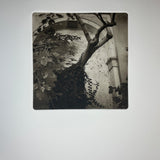 Cěský Krumlov  | Czechia  - photogravure print - The Weekly Edition
