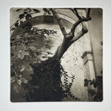 Cěský Krumlov  | Czechia  - photogravure print - The Weekly Edition