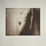 Torso 2016 - Without Limits