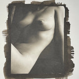 Early Torso Platinum print - Without Limits