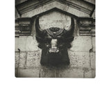 le Taureau- Without Limits