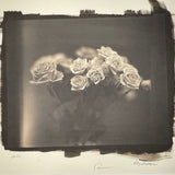 Roses Close - Platinum Palladium print