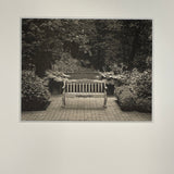 Park Bench- Platinum print 2019