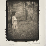 Into the woods- Platinum print 2018