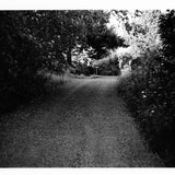 Lane by My House | Silver Gelatin print