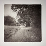 A Walk in The Danish Countryside | Copenhagen  - photogravure print - The Weekly Edition