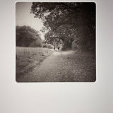 A Walk in The Danish Countryside | Copenhagen  - photogravure print - The Weekly Edition