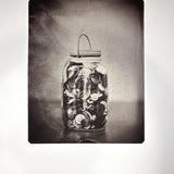 What We Collect / a series  - photogravure print - The Weekly Edition