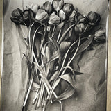 Tulips on Paper  - Rare 16X20 Platinum Print