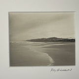 Melancholy a diptych of platinum prints