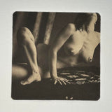 Nude Folded |  photogravure print - The small nudes, a series
