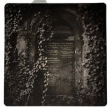 Words in Stone - Prague | photogravure print - The Weekly Edition