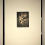 Rose Buds - Platinum Palladium print