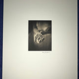 Rose Buds - Platinum Palladium print