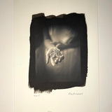 Rose Buds - Platinum Palladium print