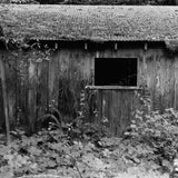 In The Woods  | Silver Gelatin print