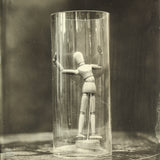 Trapped- Tintype