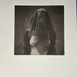 Dark Drape - Without Limits