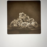 Wilted Roses  - photogravure print - The Weekly Edition