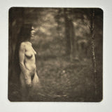 With Trees |  photogravure print - The small nudes, a series