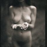 A stone in the woods