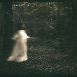 Running through the woods