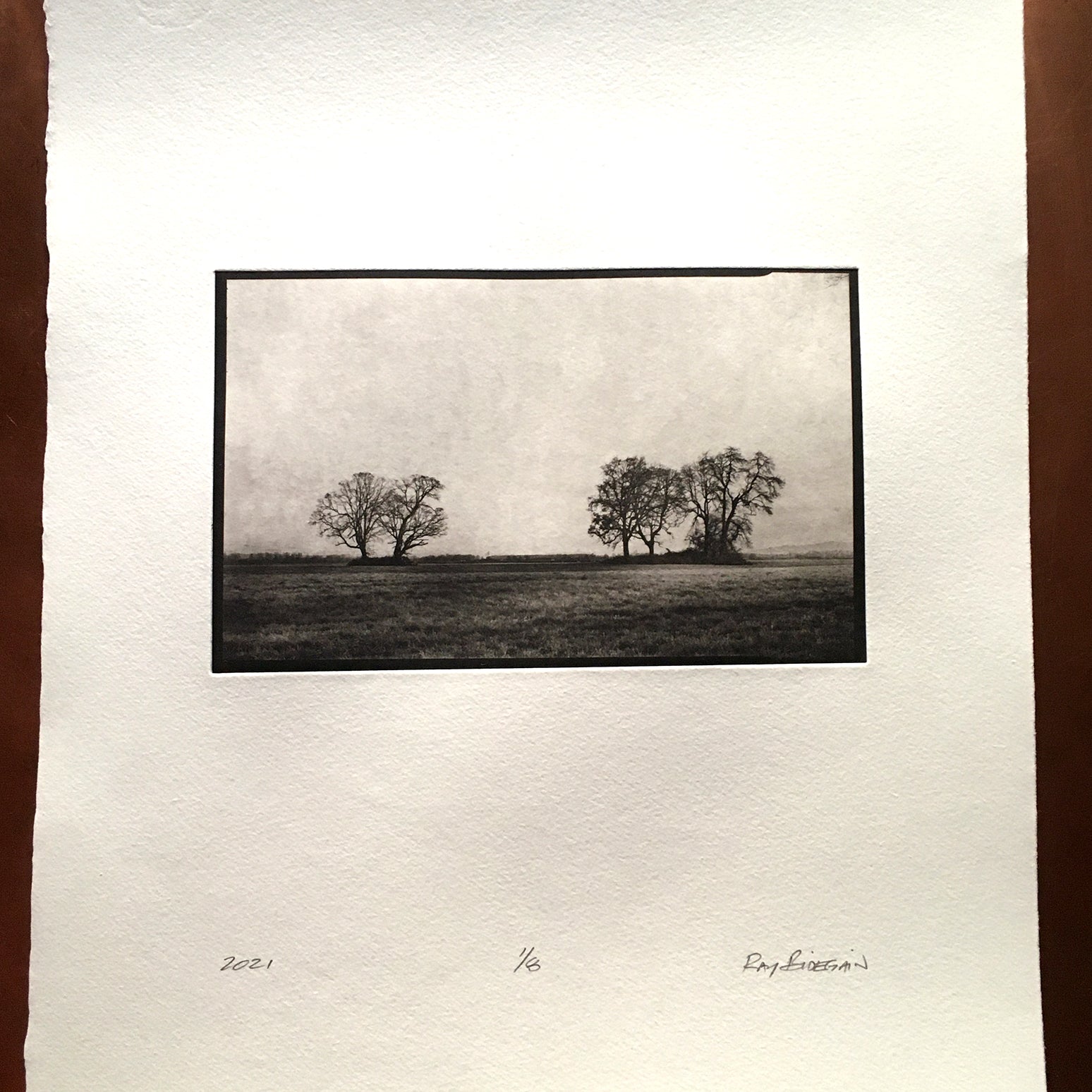 Five Trees Sauvie Island - Polymer photogravure print - Edition 2021
