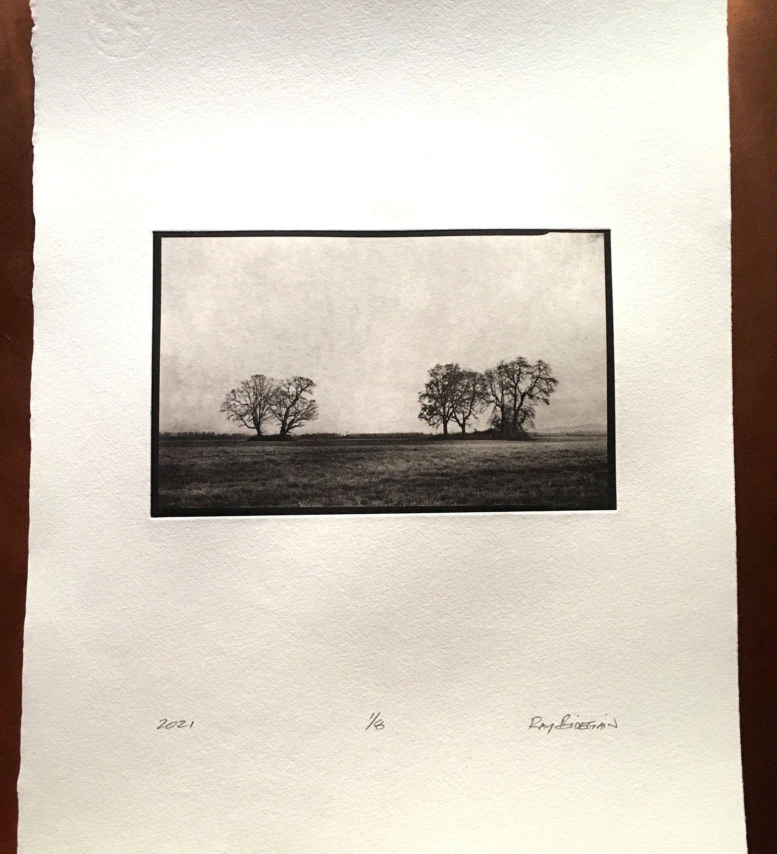 Five Trees Sauvie Island - Polymer photogravure print - Edition 2021