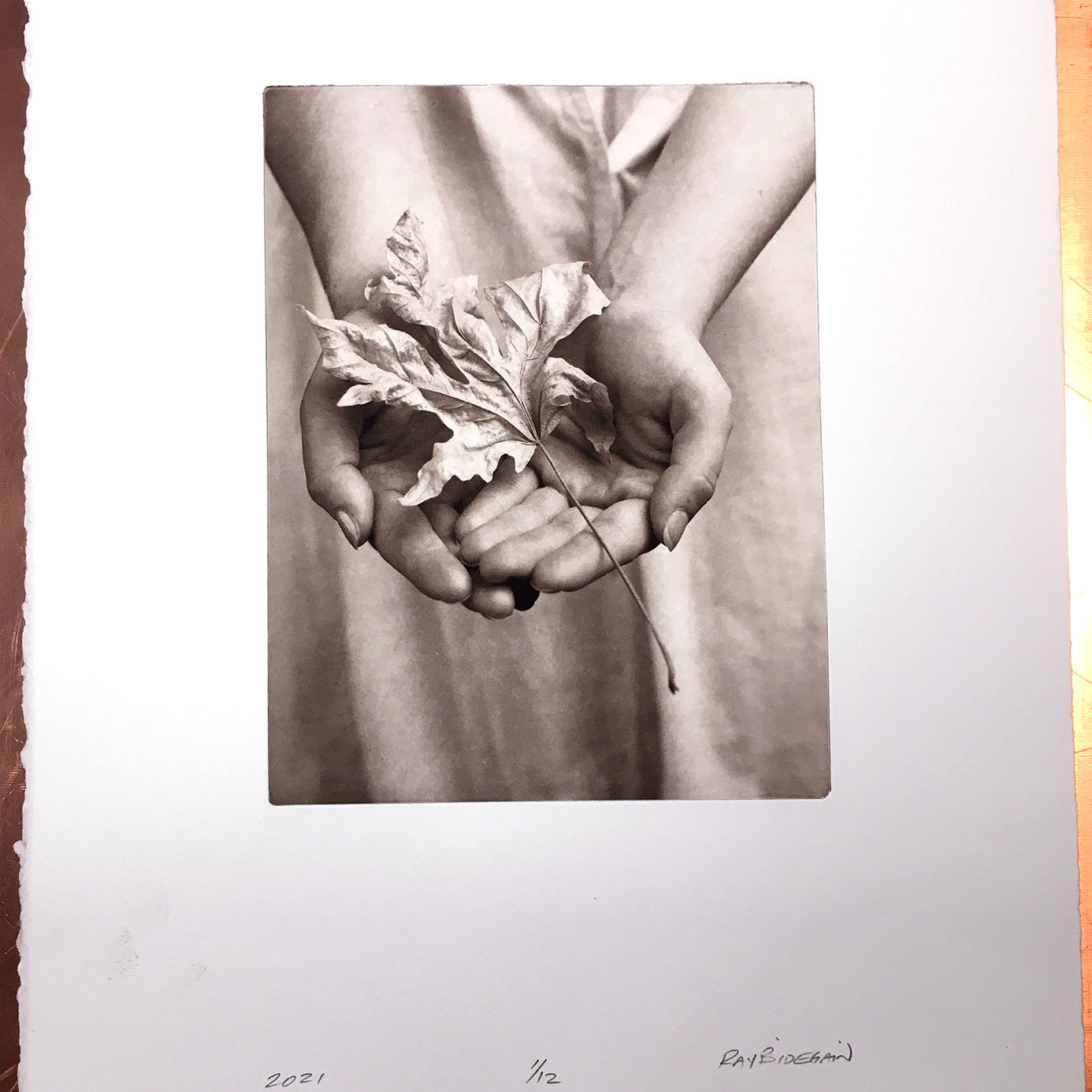 Maple fallen - Polymer photogravure print - Edition 2021