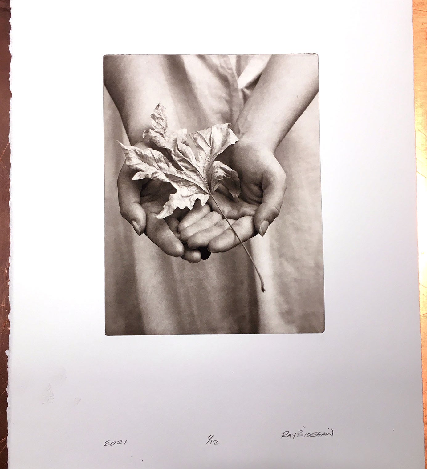 Maple fallen - Polymer photogravure print - Edition 2021