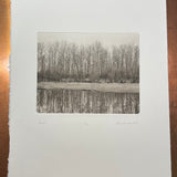 Winter Trees - photogravure print - Edition 2021
