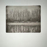Winter Trees / Sauvie Island - photogravure print - The Weekly Edition