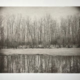 Winter Trees / Sauvie Island - photogravure print - The Weekly Edition