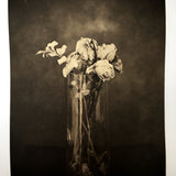 " Roses Past"    - Polymer photogravure print - Edition 2021