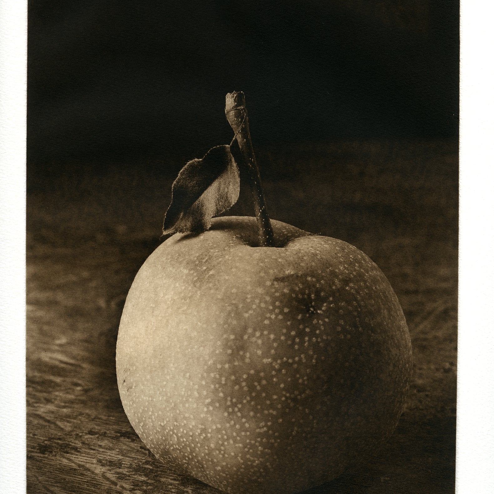 Asian Pear - Polymer photogravure print - Edition 2021