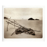 Beach Sticks - photogravure print - The Weekly Edition
