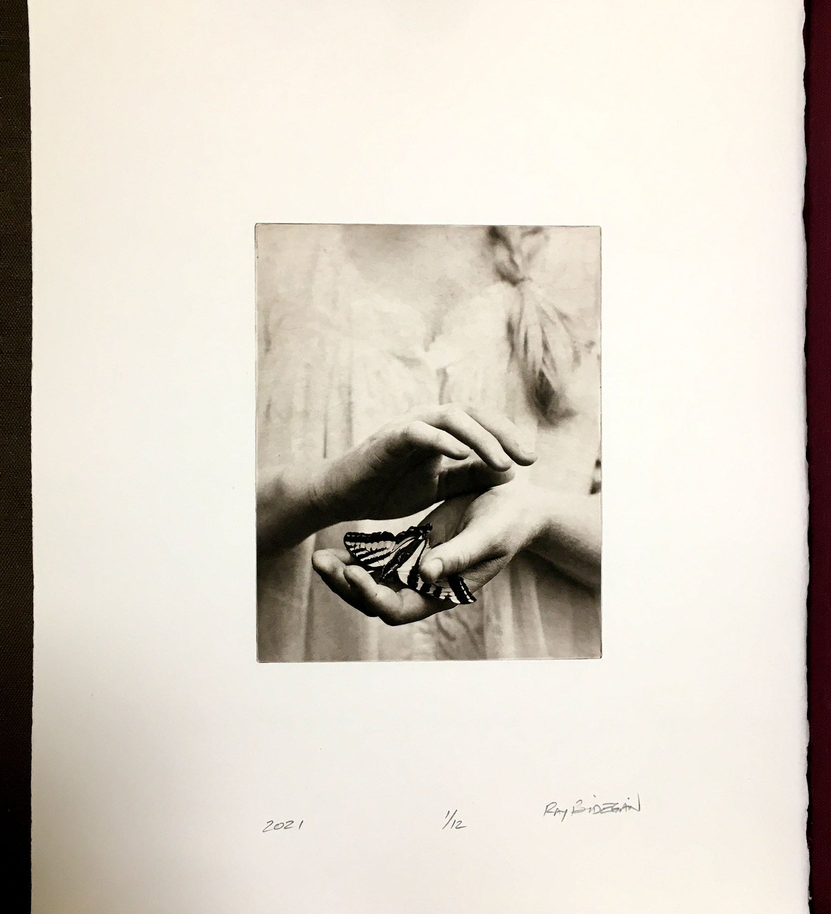 Covet   - Polymer photogravure print - Edition 2021