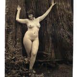 Deep in the Forest  - Polymer photogravure print -Private Release