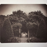 Secret Garden / Edinburgh - photogravure print - The Weekly Edition