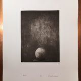 Last Winter - Polymer photogravure print - Edition 2021