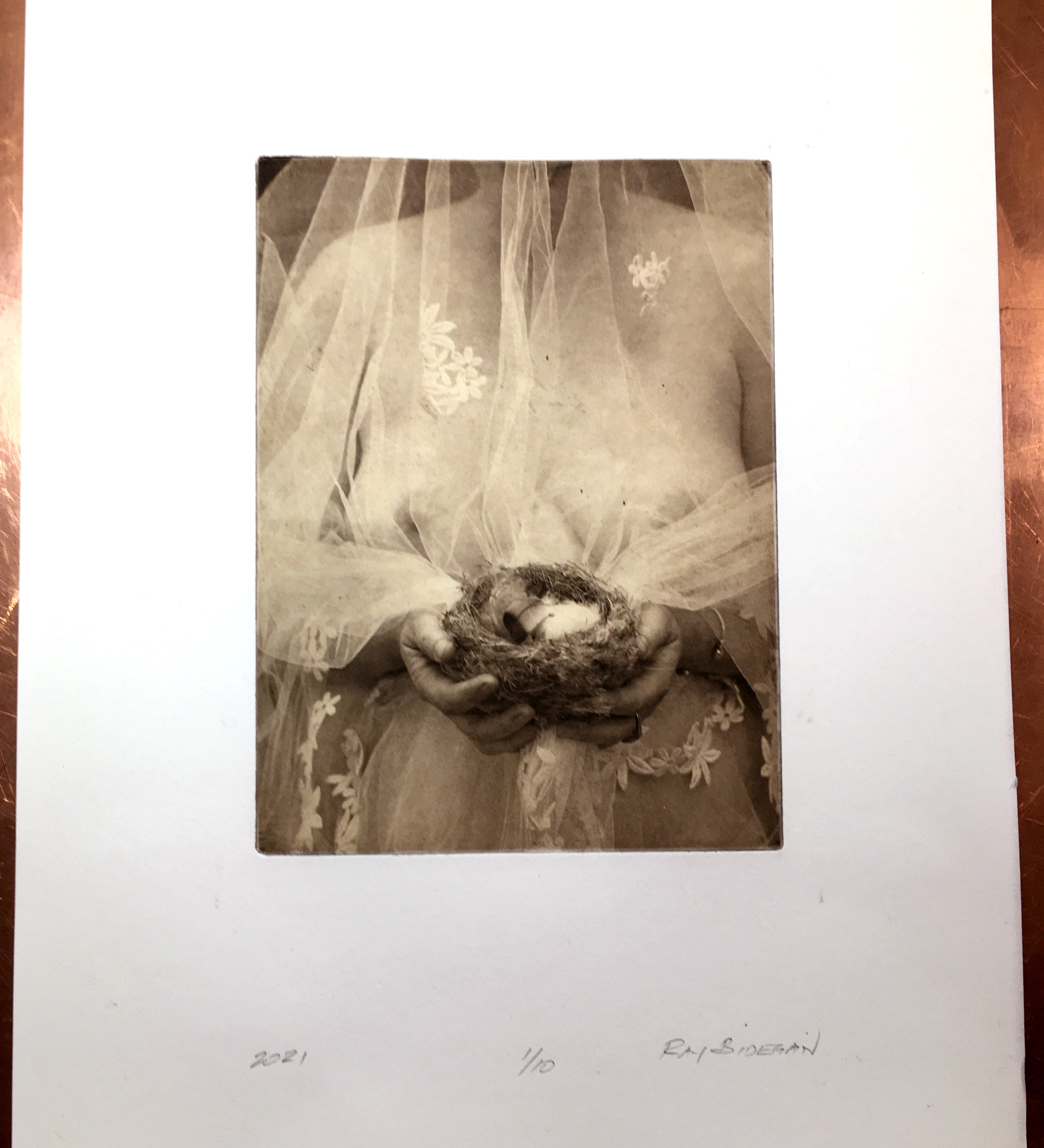 Fledge   - Polymer photogravure print - Edition 2021